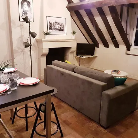 Appartamento T2 Les Yeux Sur Place Plume Mytripintours Tours
